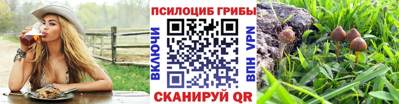 Псилоцибиновые грибы Magic Shrooms  где можно купить наркотик  Братск 